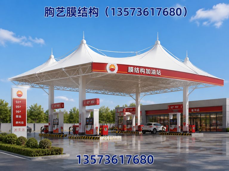 坊子区膜结构车棚展示图